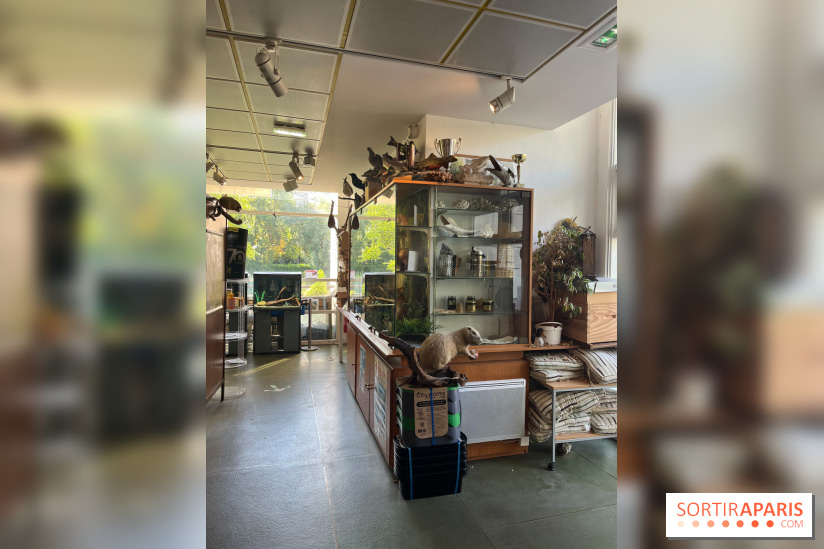 La Maison de la Pêche et de la Nature - image00026