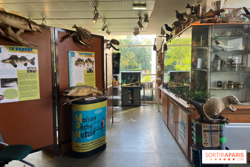 La Maison de la Pêche et de la Nature - image00027