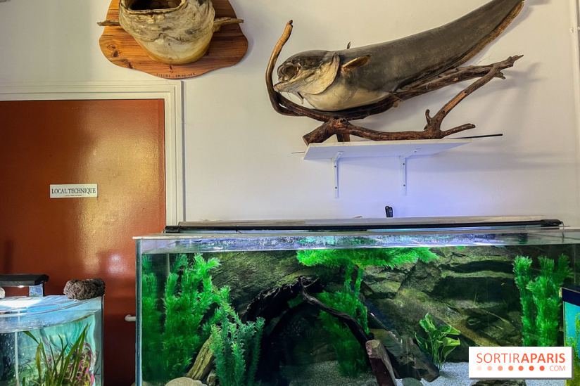 La Maison de la Pêche et de la Nature