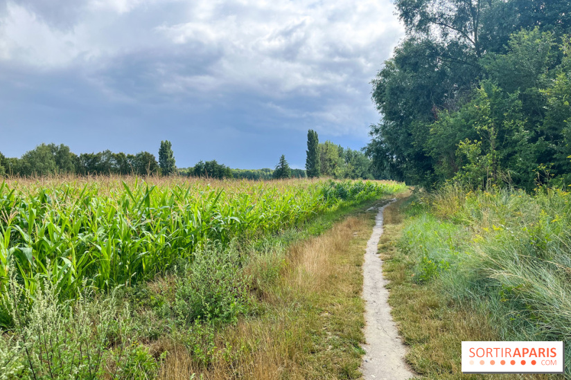 Le long de l'Oise, entre Auvers-sur-Oise et l'Isle-Adam