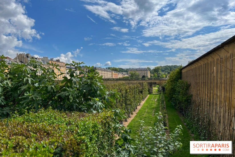 Potager du Roi