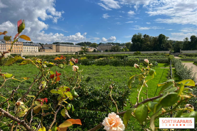 Potager du Roi - IMG 4180