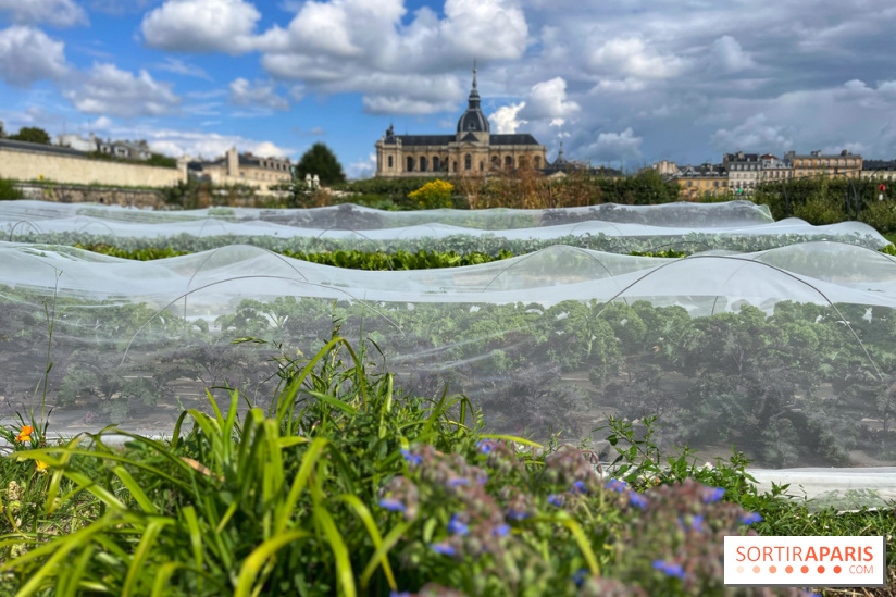 Potager du Roi