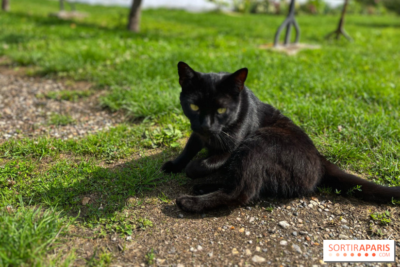 Potager du Roi - IMG 4217