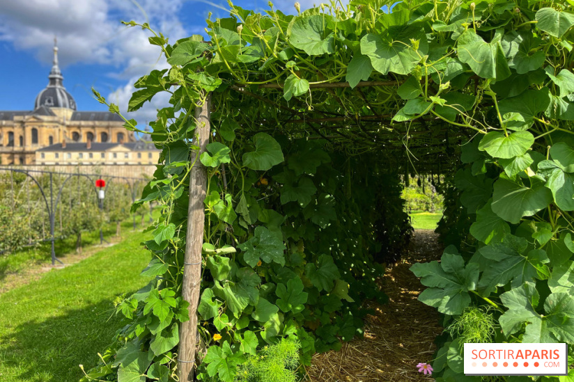 Potager du Roi - IMG 4235