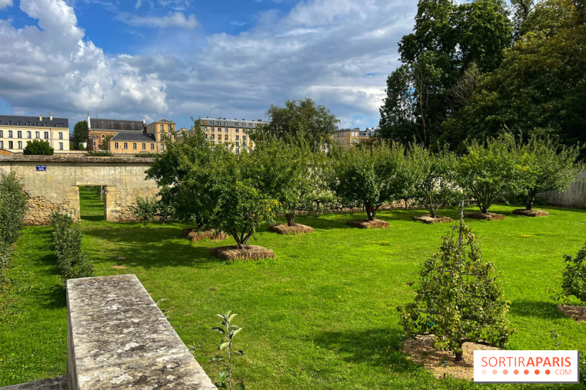 Potager du Roi - IMG 4240