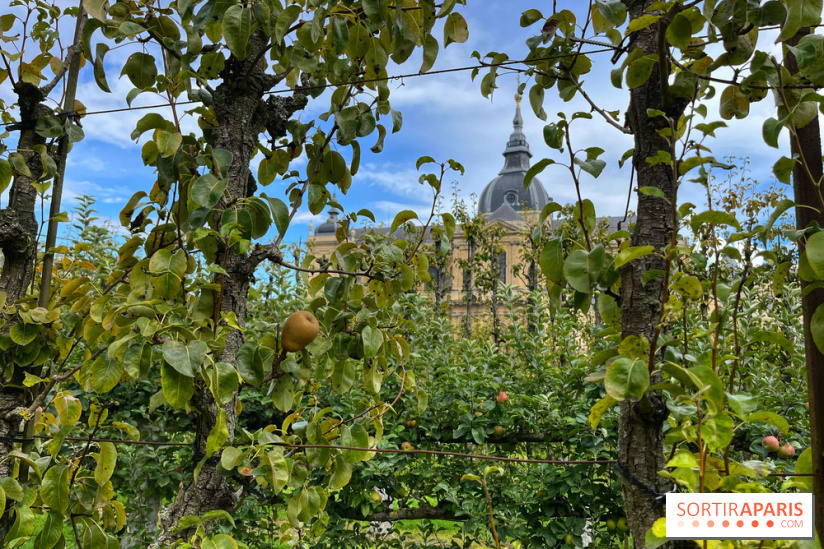 Potager du Roi