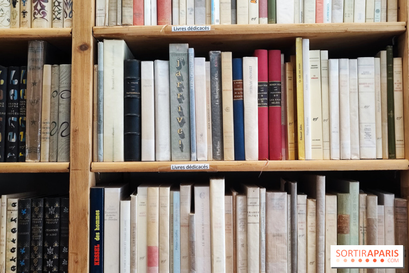 Librairie Vignes - 154601