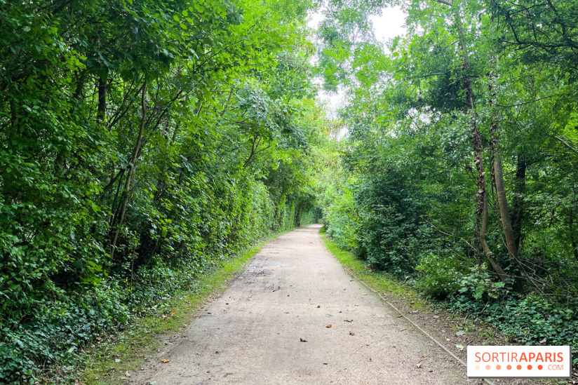 Le parc de la Haute-Île à Neuilly-sur-Marne - image00038