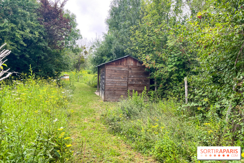 Le parc de la Haute-Île à Neuilly-sur-Marne - image00007