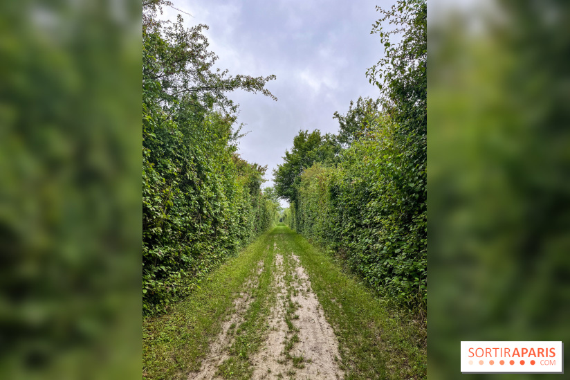 Le parc de la Haute-Île à Neuilly-sur-Marne - image00001