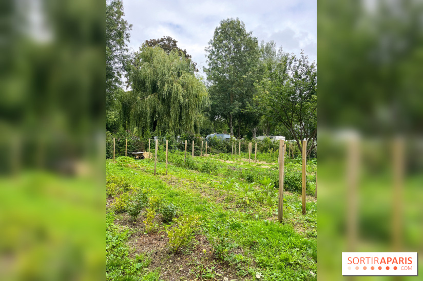 Les Rives de Paris, l'unique camping du 93 à Neuilly-sur-Marne