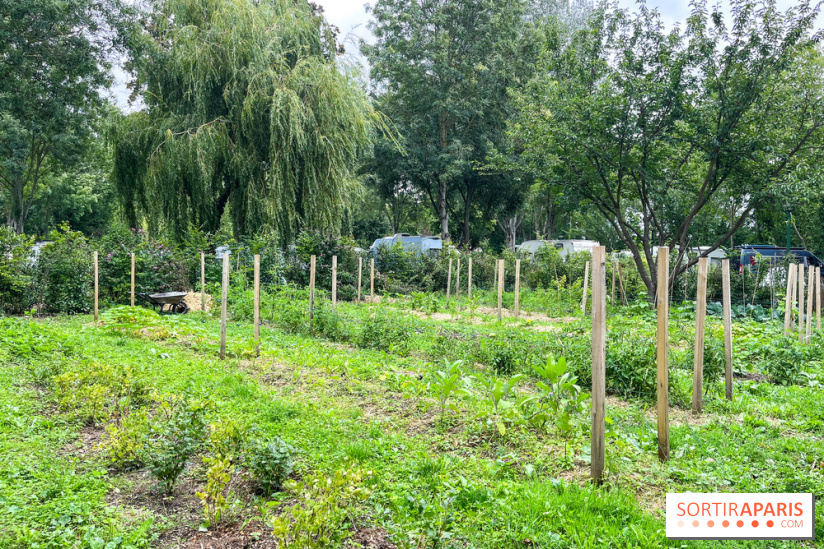 Les Rives de Paris, l'unique camping du 93 à Neuilly-sur-Marne