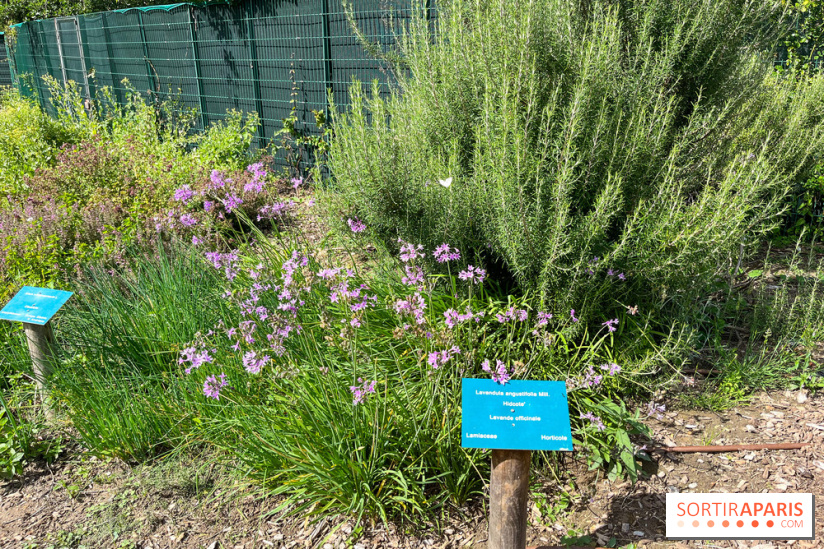 Le parc Georges Brassens, pour se croire à la campagne dans le 15e