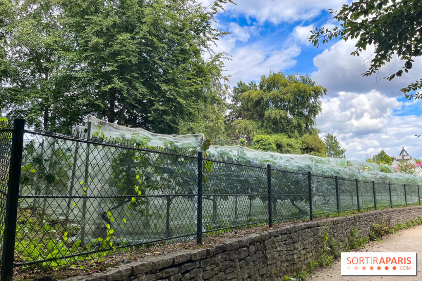 Le parc Georges Brassens, pour se croire à la campagne dans le 15e