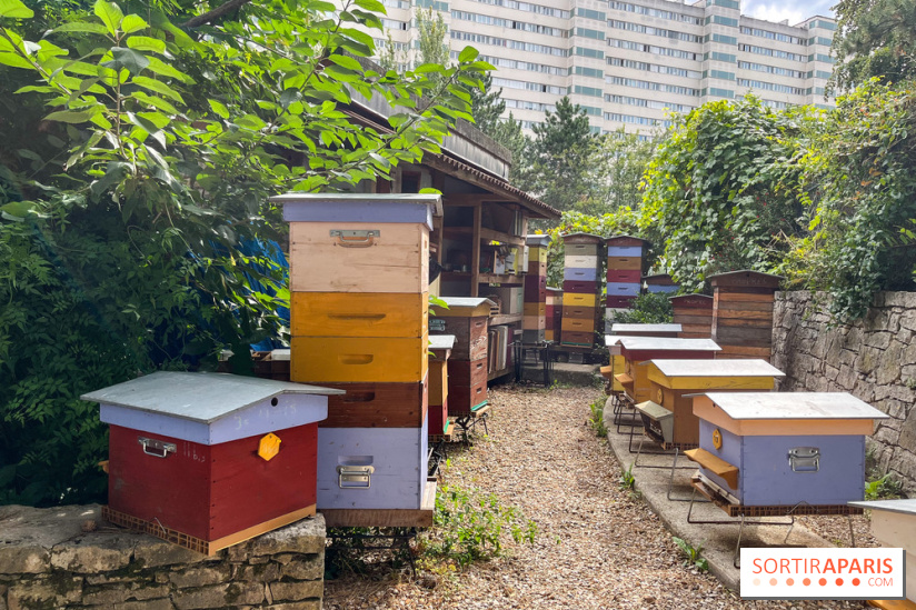 Le parc Georges Brassens, pour se croire à la campagne dans le 15e - image00022