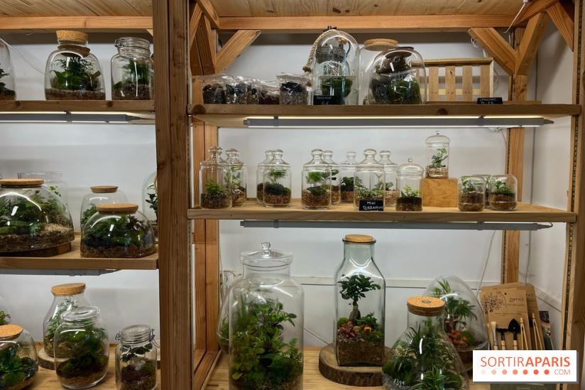 Boby la Plante - IMG 4332