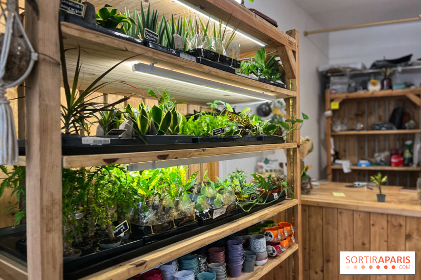 Boby la Plante - IMG 4338