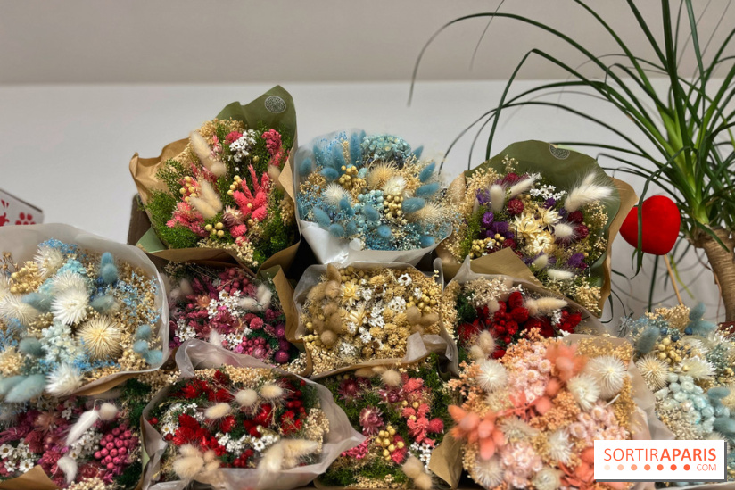 Boby la Plante - IMG 4353