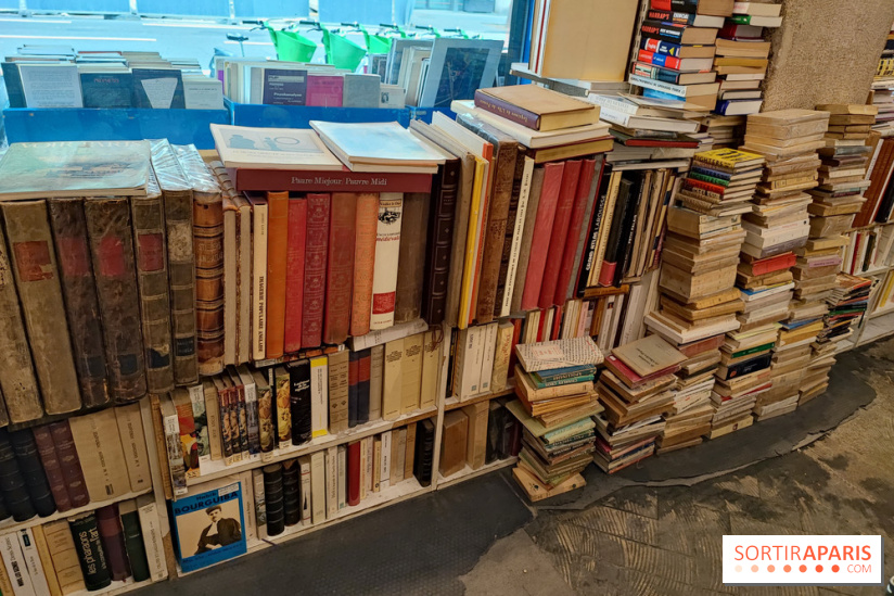 Librairie l'Odyssée - IMG 20230814 145508