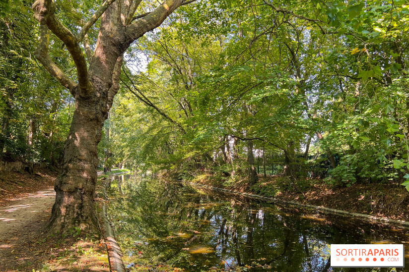 Les lacs et rivières du Vésinet, dans les Yvelines