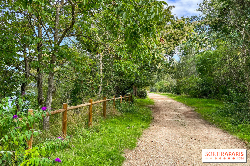 L'étang de la Galiotte dans le parc du Peuple de l'Herbe - Carrières-sous-Poissy (Yvelines) - image00021