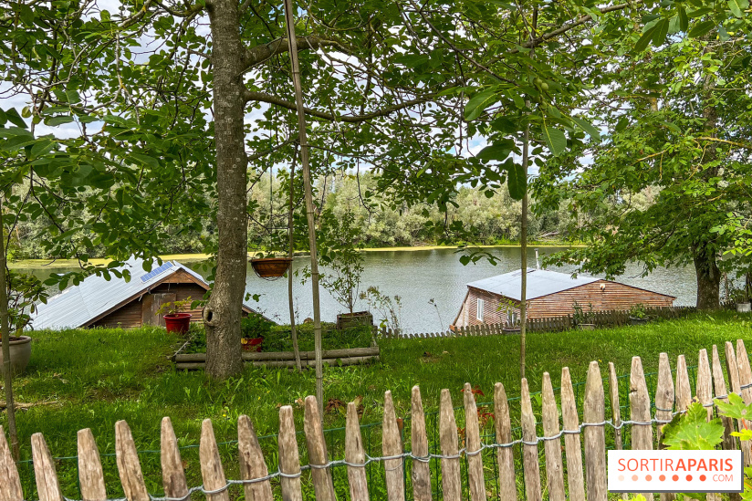 L'étang de la Galiotte dans le parc du Peuple de l'Herbe - Carrières-sous-Poissy (Yvelines) - image00027