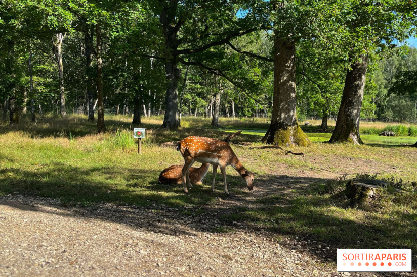 Espace Rambouillet - IMG 4425