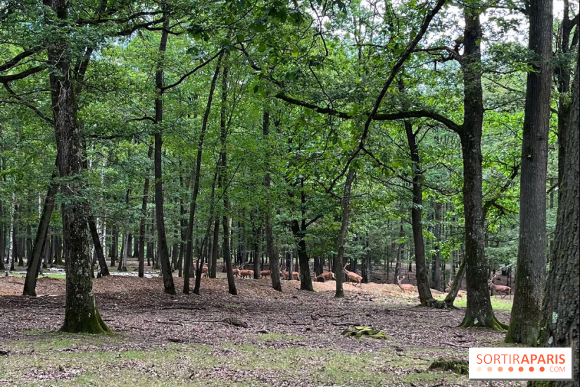 Espace Rambouillet