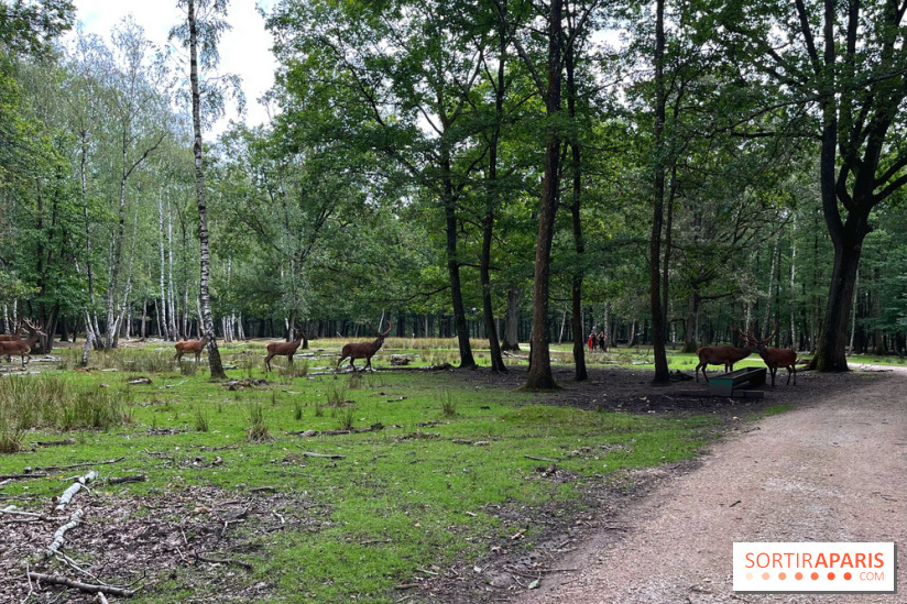 Espace Rambouillet