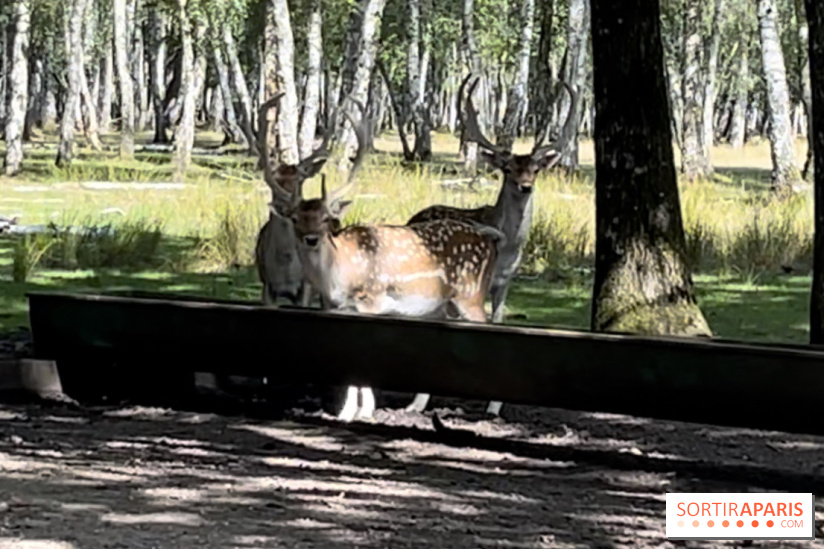 Espace Rambouillet - IMG 4544