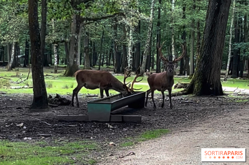 Espace Rambouillet