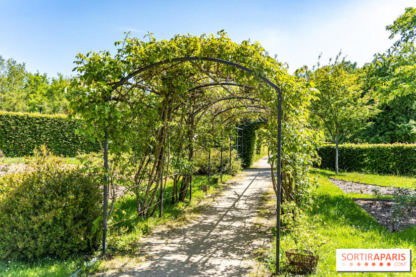 Parc de La Croix du Bois à Voisins-le-Bretonneux -  A7C4049
