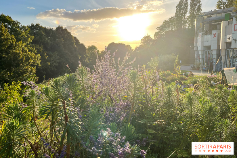 Le parc de Belleville - image00027