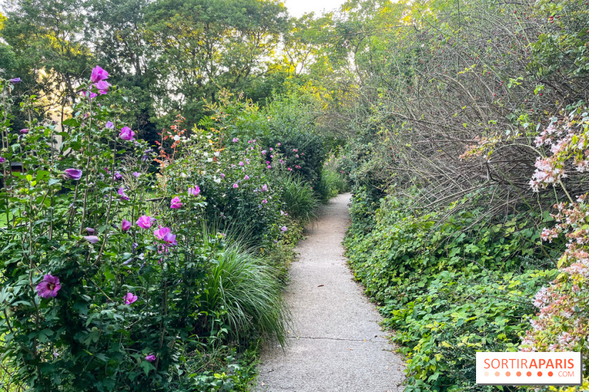 Le parc de Belleville - image00019