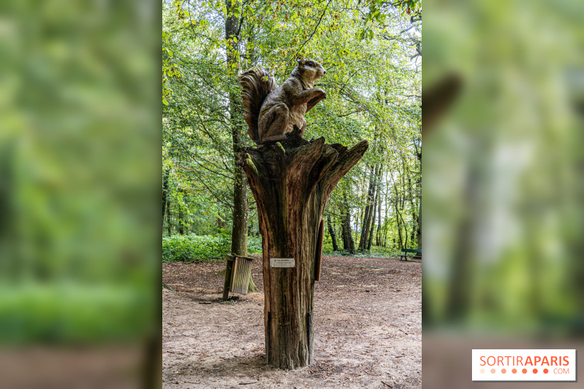 Le village de Janvry en Haute Vallée de Chevreuse  -  A7C0049