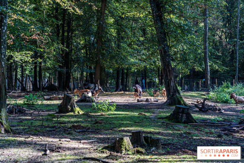Le village de Janvry en Haute Vallée de Chevreuse