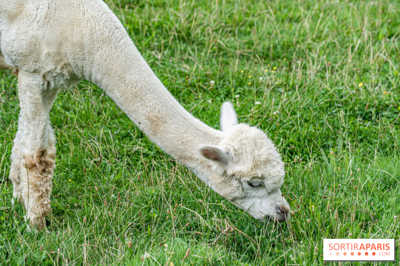 Le village de Janvry en Haute Vallée de Chevreuse  -  A7C9966