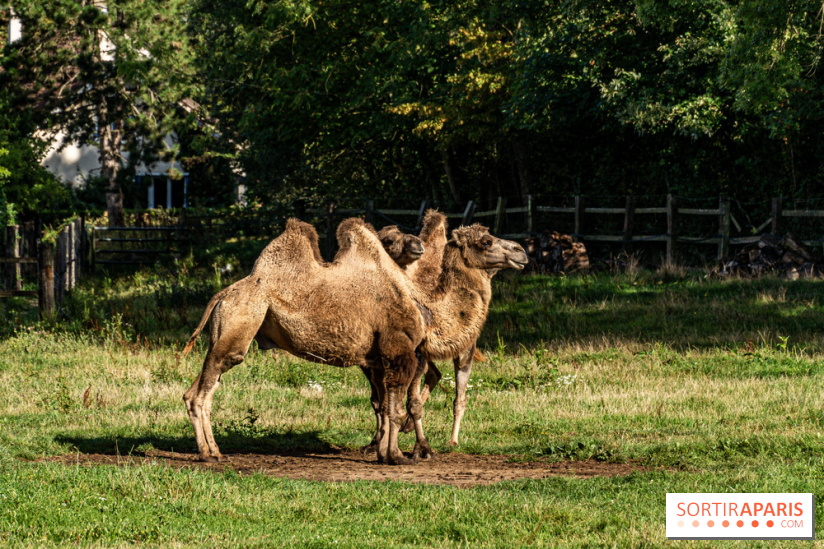 Le village de Janvry en Haute Vallée de Chevreuse  -  A7C0067