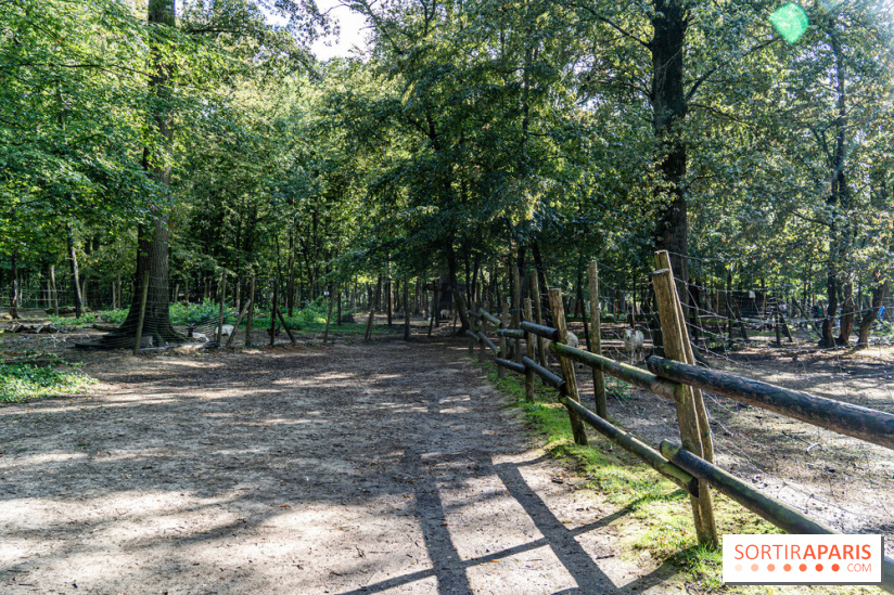 Le village de Janvry en Haute Vallée de Chevreuse  -  A7C0062