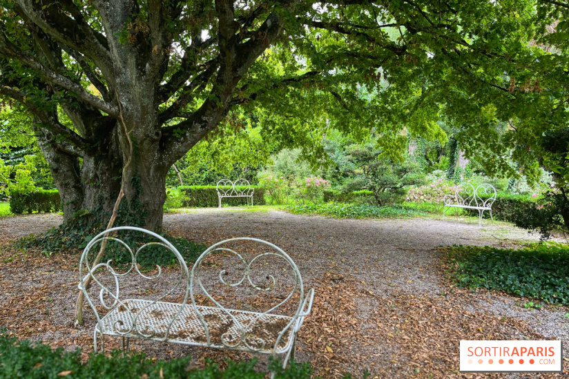 Provins, cité médiévale - IMG 4689