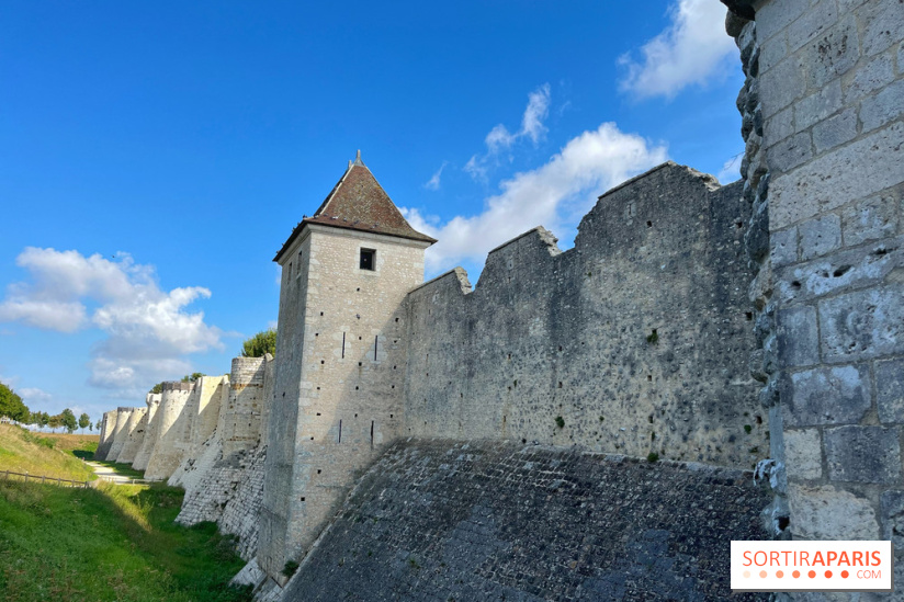 Provins, cité médiévale - IMG 4629