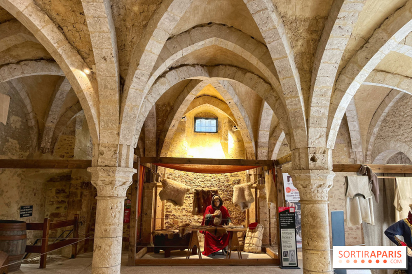 Provins, cité médiévale