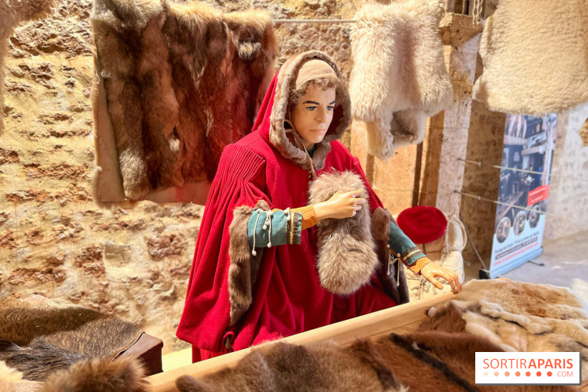 Provins, cité médiévale - IMG 4637