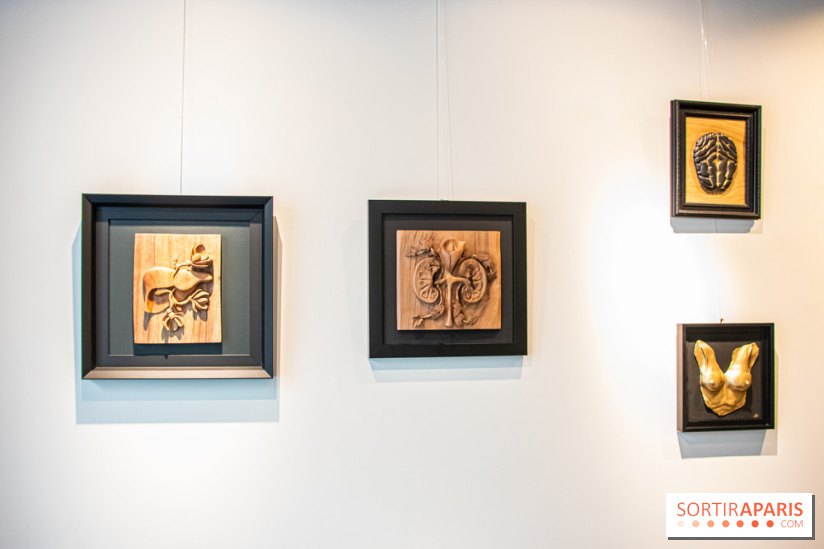 Exposition Organessence Ono galerie La Lison