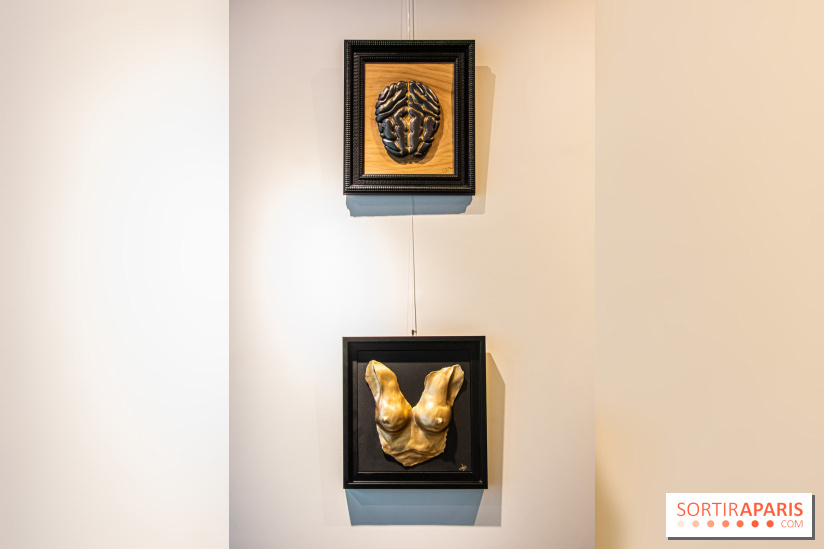 Exposition Organessence Ono galerie La Lison