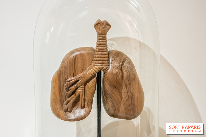 Exposition Organessence Ono galerie La Lison