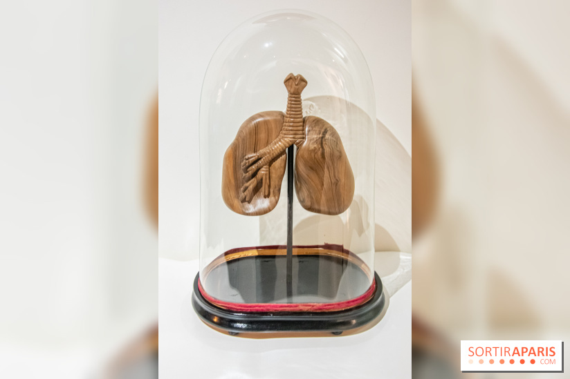 Exposition Organessence Ono galerie La Lison