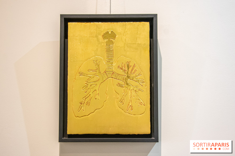 Exposition Organessence Ono galerie La Lison