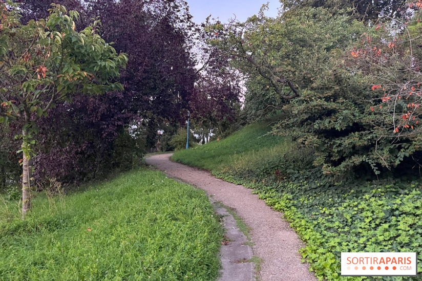 Festival Silhouette au parc de la Butte du Chapeau Rouge - image00012